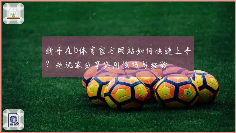 新手在b体育官方网站如何快速上手？老玩家分享实用技巧与经验