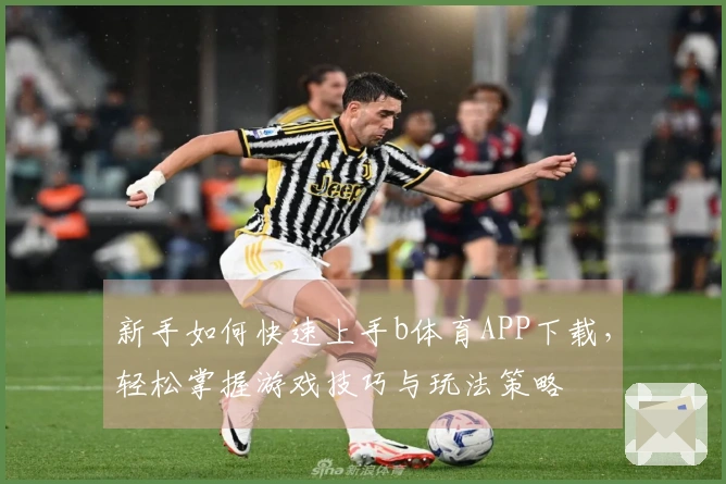 新手如何快速上手b体育APP下载，轻松掌握游戏技巧与玩法策略