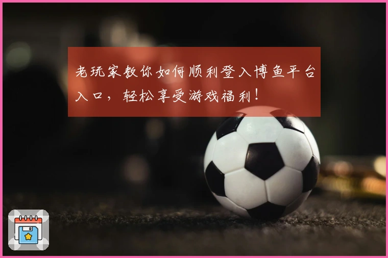 老玩家教你如何顺利登入博鱼平台入口，轻松享受游戏福利！