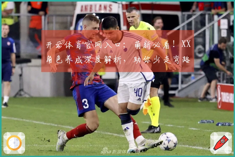 开云体育官网入口：萌新必看！XX角色养成深度解析，助你少走弯路，战力飙升！