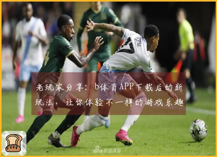 老玩家分享：b体育APP下载后的新玩法，让你体验不一样的游戏乐趣！