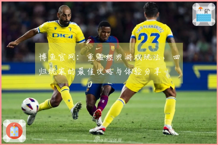 博鱼官网：重温经典游戏玩法，回归玩家的最佳攻略与体验分享